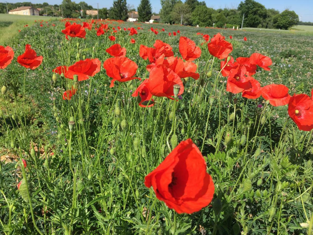 Gites dans les Champs Sauzé-Vaussais Extérieur photo